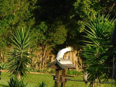 Riverbend Cottage Cabin at Little Heaven