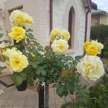 'THE CHURCH' Guest Home Gawler Barossa Region