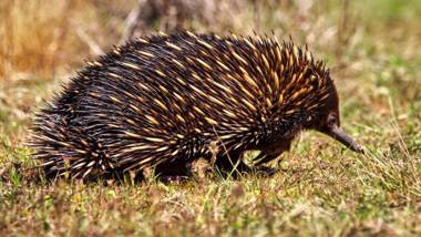 Tea Tree Hollow - 50 percent off third night on weekend