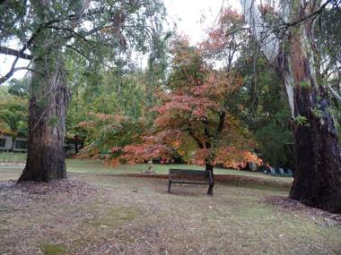Alpine Park Riverside Cottages