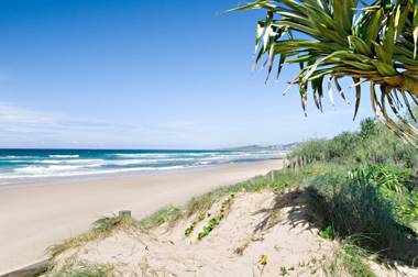 Horizons At Peregian