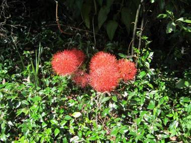 Sunshine Valley Cottages