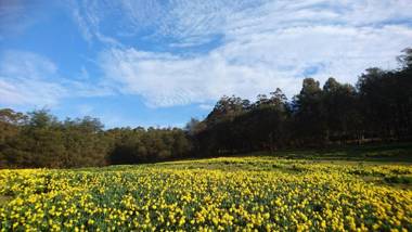Mountain Blue Guest House