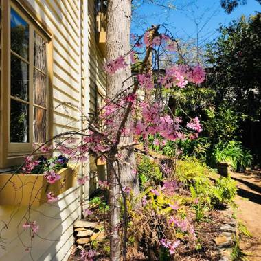 Aldgate Creek Cottage Bed and Breakfast