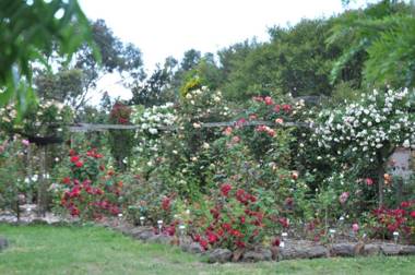 Fairy Wren Cottage Country to Coast Retreat