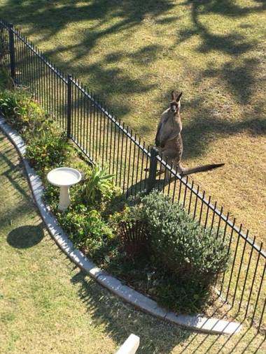 Paradise Beach Apartments