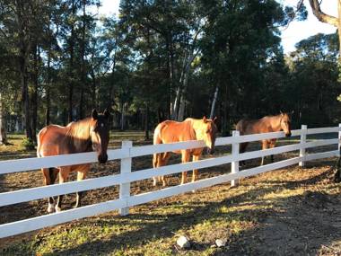 The Woods Farm Jervis Bay