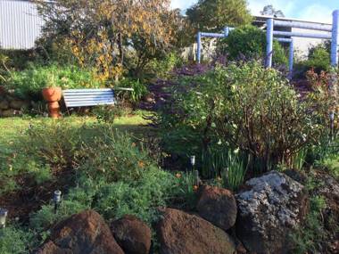 Chestnut Brae Farmstay