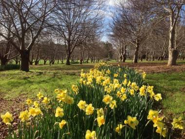 Chestnut Brae Farmstay