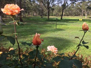 Hunter Valley Retreat