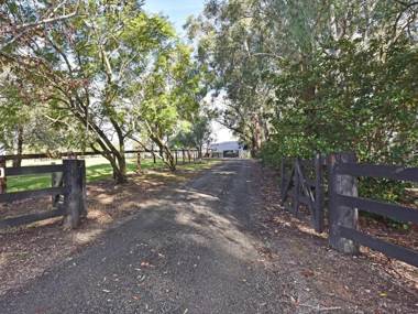 Malolo Park Farmstay in the Watagans - serenity
