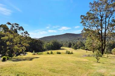 Hunter Valley Kangaroo Retreat with 60 Kangaroos