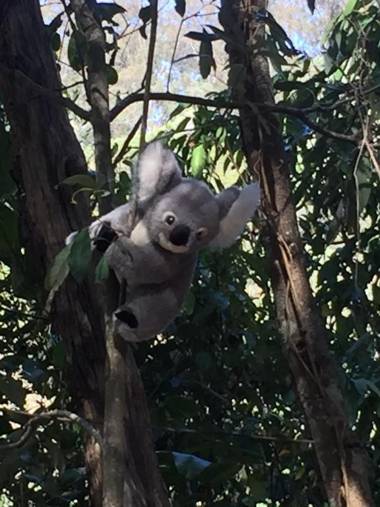 Rossmount Rural Retreat