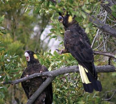 Adventure Bay Retreat Bruny Island