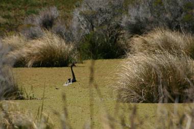 Cloudy Bay Beach House