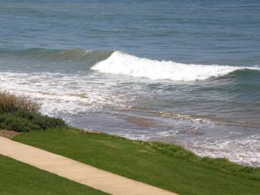 Penguin Waterfront Escape