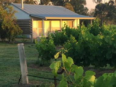 Emma's Cottage Vineyard