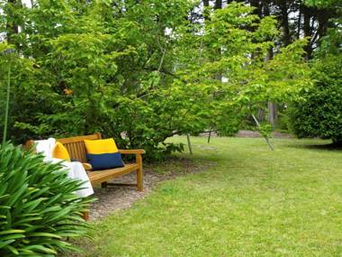 Canary Cottage - fresh clean simple & comfortable