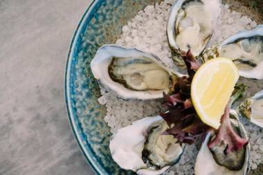 Eastcoaster Tasmania