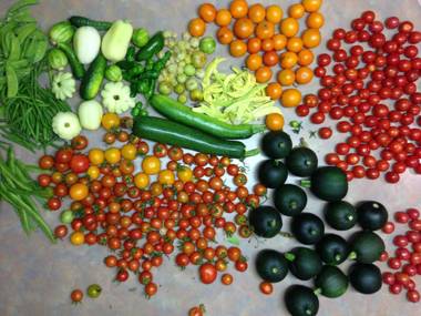 Wombat Forest Country Retreat