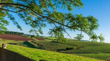 Dorrigo Mountain Holiday Park