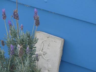 KI Dragonfly Guesthouse