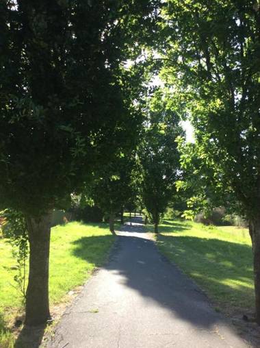 A Suite Spot in the Hills