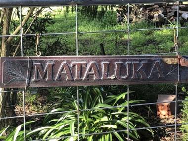 Mataluka at Fish Creek