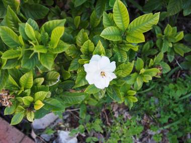 Bellevue Accommodation