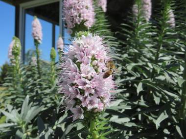 Lakes Entrance Waterfront Cottages with King Beds