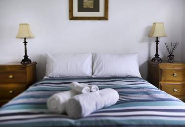 Bindi - Pet Friendly