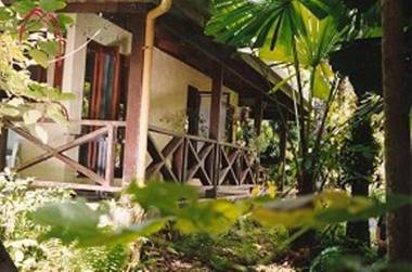 Daintree Deep Forest Lodge