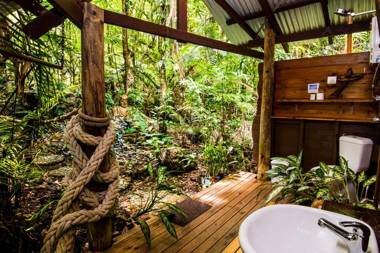 Rainforest Hideaway