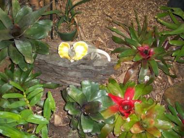 Forest Lodge: Bali-Style Retreat