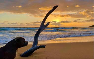 KiteSurf 1770 Beach House