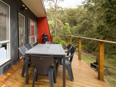 Bush Baby at Blenheim Beach 4pm Check Out Sundays