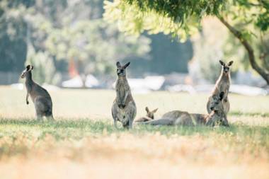 Del Rio Riverside Resort