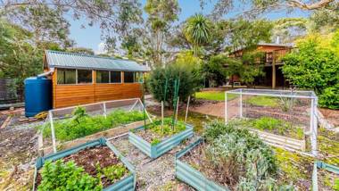 FLORIDA TREES - SURF SIDE