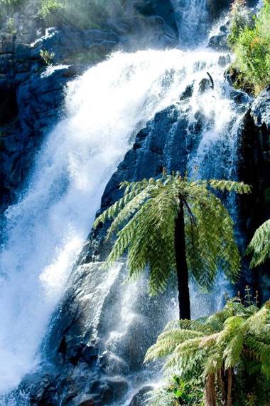 Tower Motel Marysville