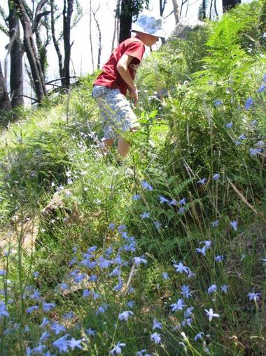 Marysville Garden Cottages