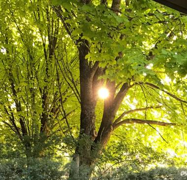 Goldberryaccommodation