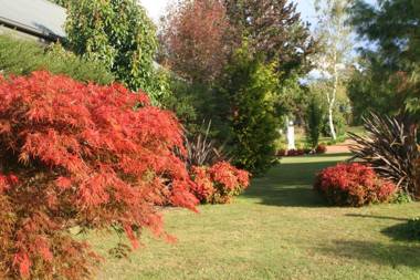 Delderfield Cottages