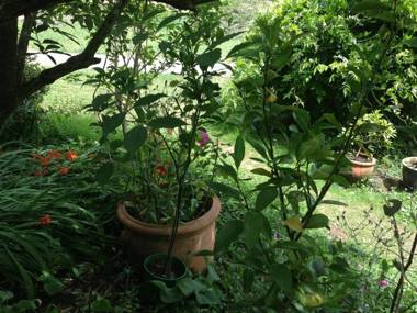 Crossways Country Inn