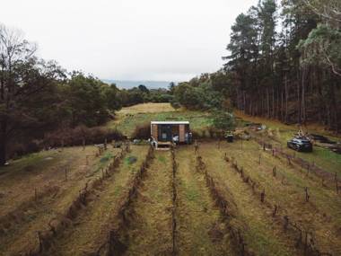 Alpaca Tiny House with Vineyard Lakeside