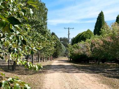 Warrington Park - Bendooley Hill