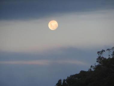 Eildon Parkview Motor Inn Room 6