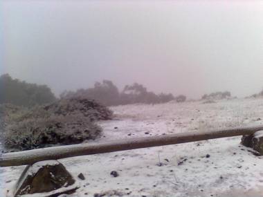Canobolas Mountain Cabins