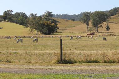The Dollhouse Cottage