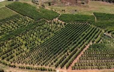 Farview Guest Accommodation