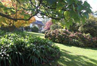 Boyanda at Ferny Creek